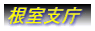 �����x��
