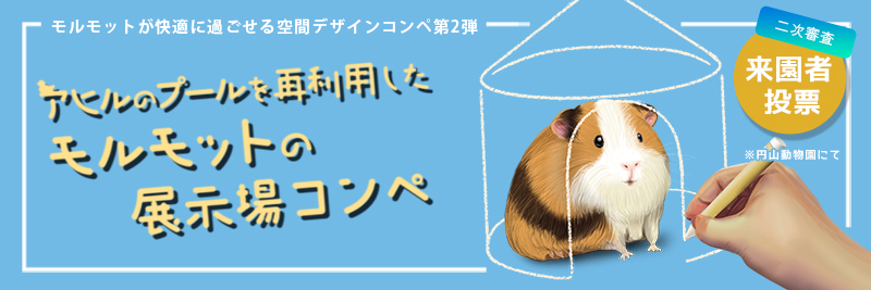 モルモットが快適に過ごせる空間デザインコンペ 際二弾 2次審査来園者投票